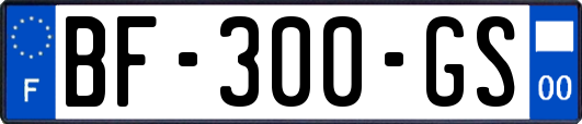 BF-300-GS