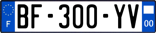 BF-300-YV