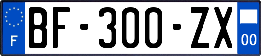 BF-300-ZX