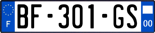 BF-301-GS