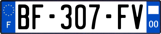 BF-307-FV