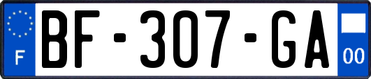 BF-307-GA