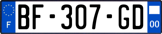 BF-307-GD