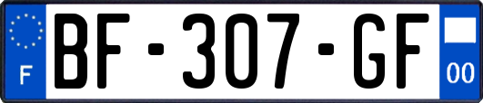 BF-307-GF