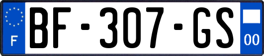 BF-307-GS