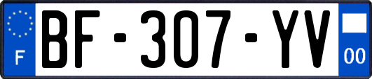 BF-307-YV