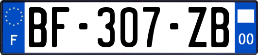 BF-307-ZB