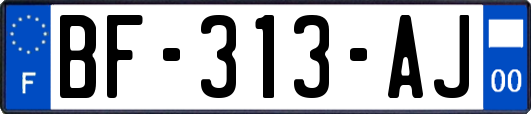 BF-313-AJ