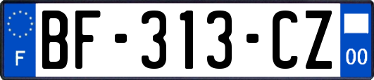 BF-313-CZ