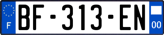 BF-313-EN