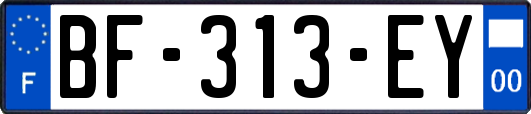 BF-313-EY