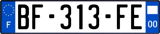 BF-313-FE