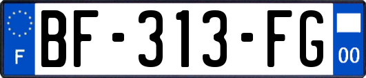 BF-313-FG
