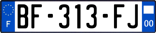 BF-313-FJ