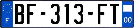 BF-313-FT