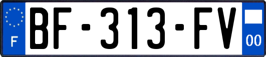 BF-313-FV