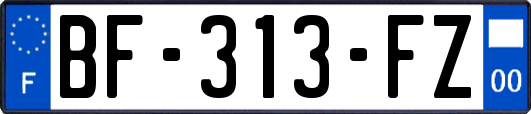 BF-313-FZ