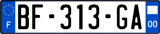 BF-313-GA