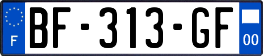 BF-313-GF
