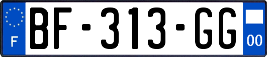 BF-313-GG