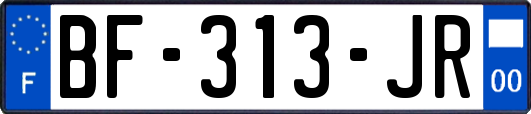 BF-313-JR
