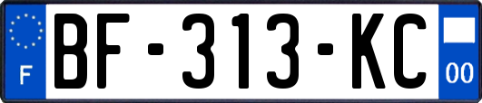 BF-313-KC