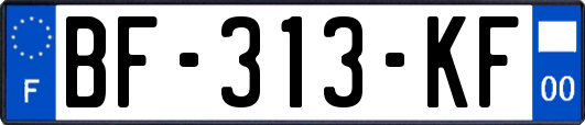 BF-313-KF
