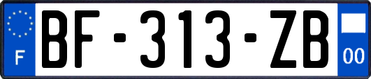 BF-313-ZB