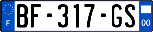 BF-317-GS