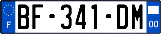 BF-341-DM