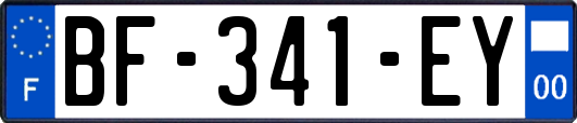 BF-341-EY