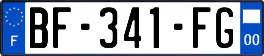 BF-341-FG