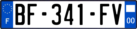 BF-341-FV