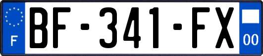 BF-341-FX
