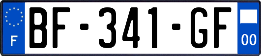 BF-341-GF