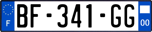 BF-341-GG