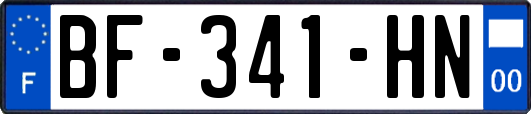 BF-341-HN