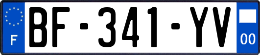 BF-341-YV