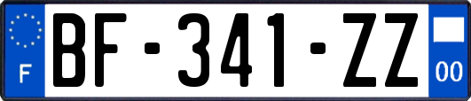 BF-341-ZZ