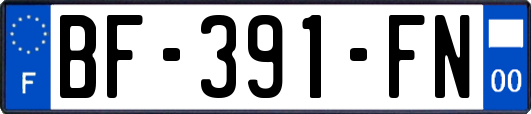 BF-391-FN