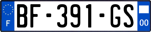 BF-391-GS