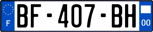 BF-407-BH