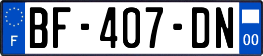 BF-407-DN