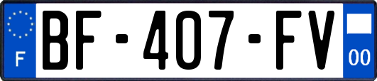 BF-407-FV
