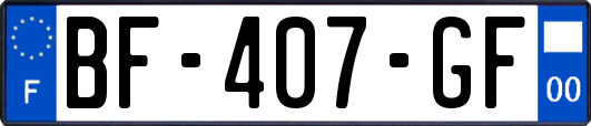 BF-407-GF