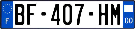 BF-407-HM
