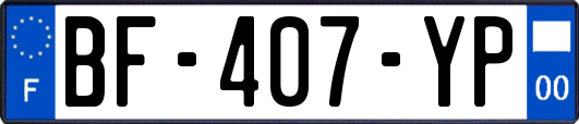 BF-407-YP