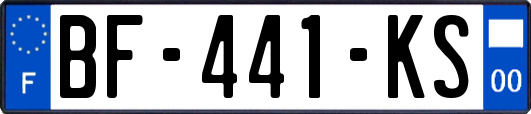 BF-441-KS