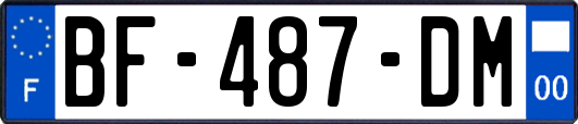 BF-487-DM