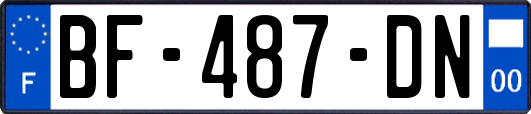 BF-487-DN